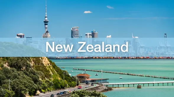 study in new zealand pathway aihm college.jpg