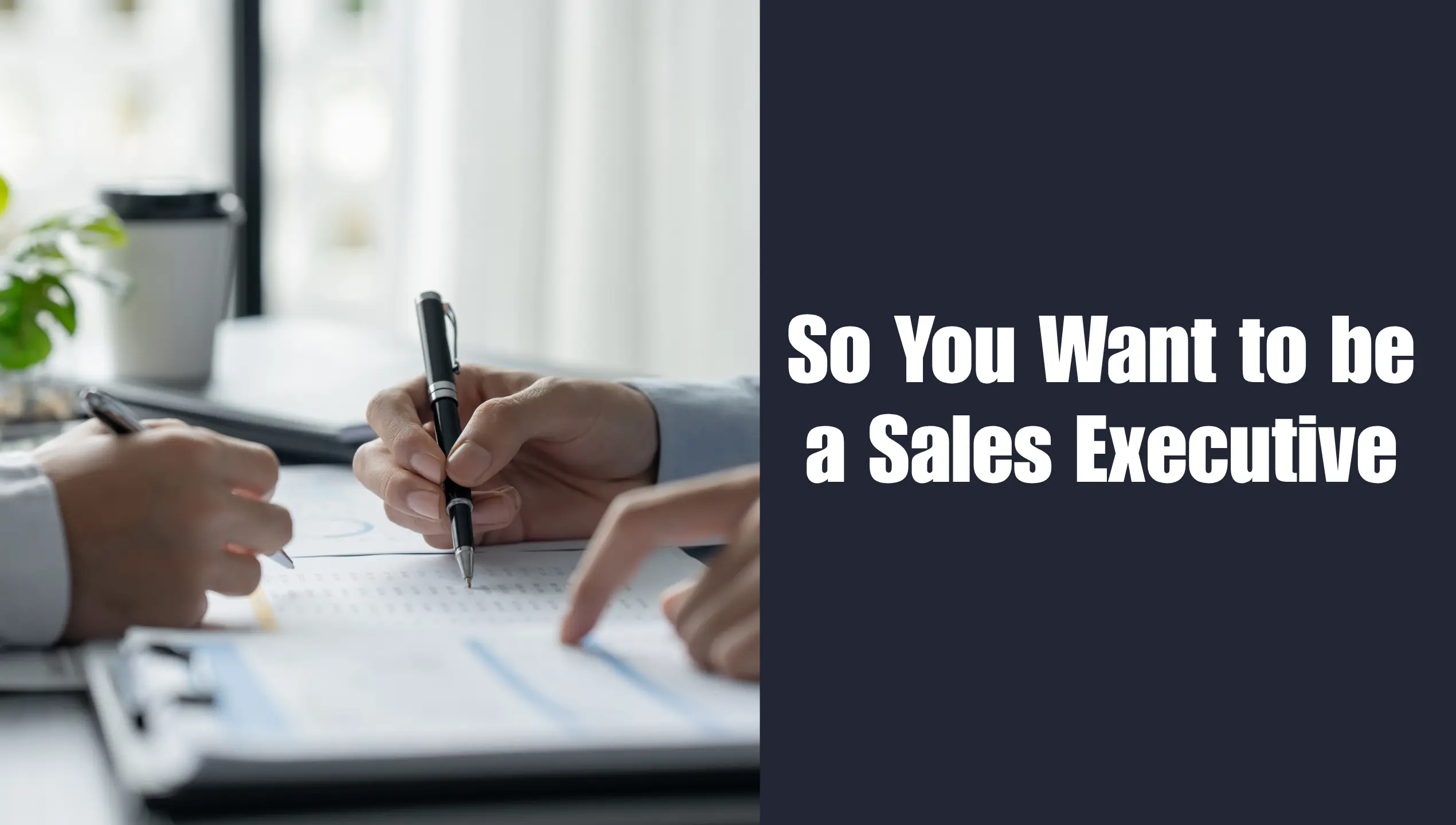 So you want to be a sales executive